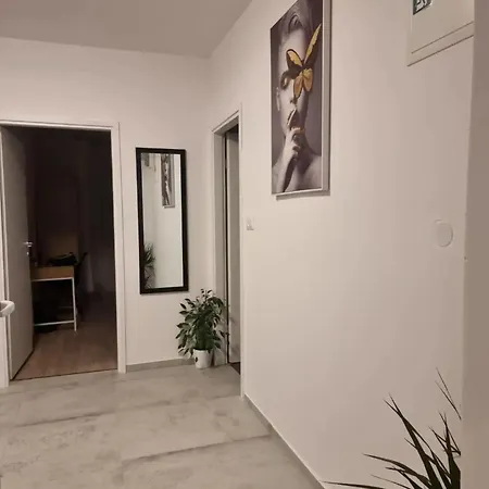 La Paulina's Iii Apartment